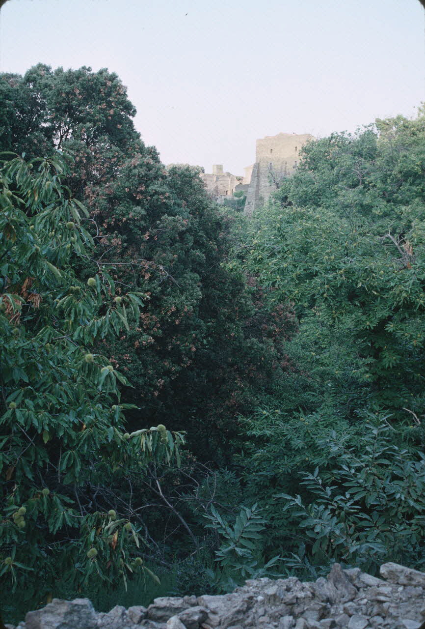 Patrick Prado photographie Enquête conduite par Jean Cuisenier à Saint-Tropez dans le Var (du 12 au 23 septembre 1988) Provence-Alpes-Côte d'Azur, France 1988/9/12 Ph.1990.17.6 Photo