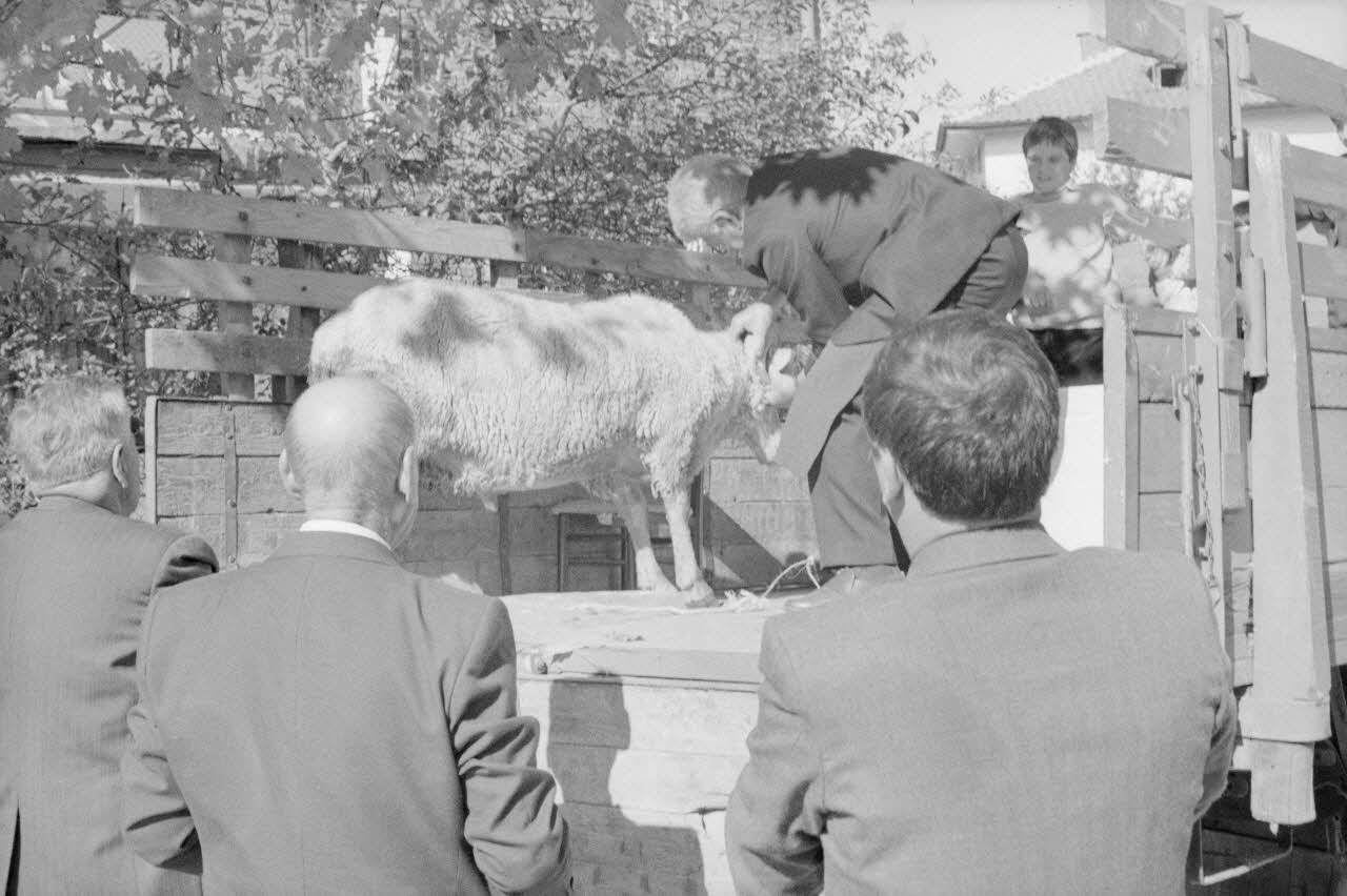 Anonyme photographie Enquête conduite par Jean Cuisenier en Bulgarie (du 16 au 30 octobre 1990) Province de Blagoevgrad, Bulgarie 1990/10/16 Ph.1990.42.19 Photo