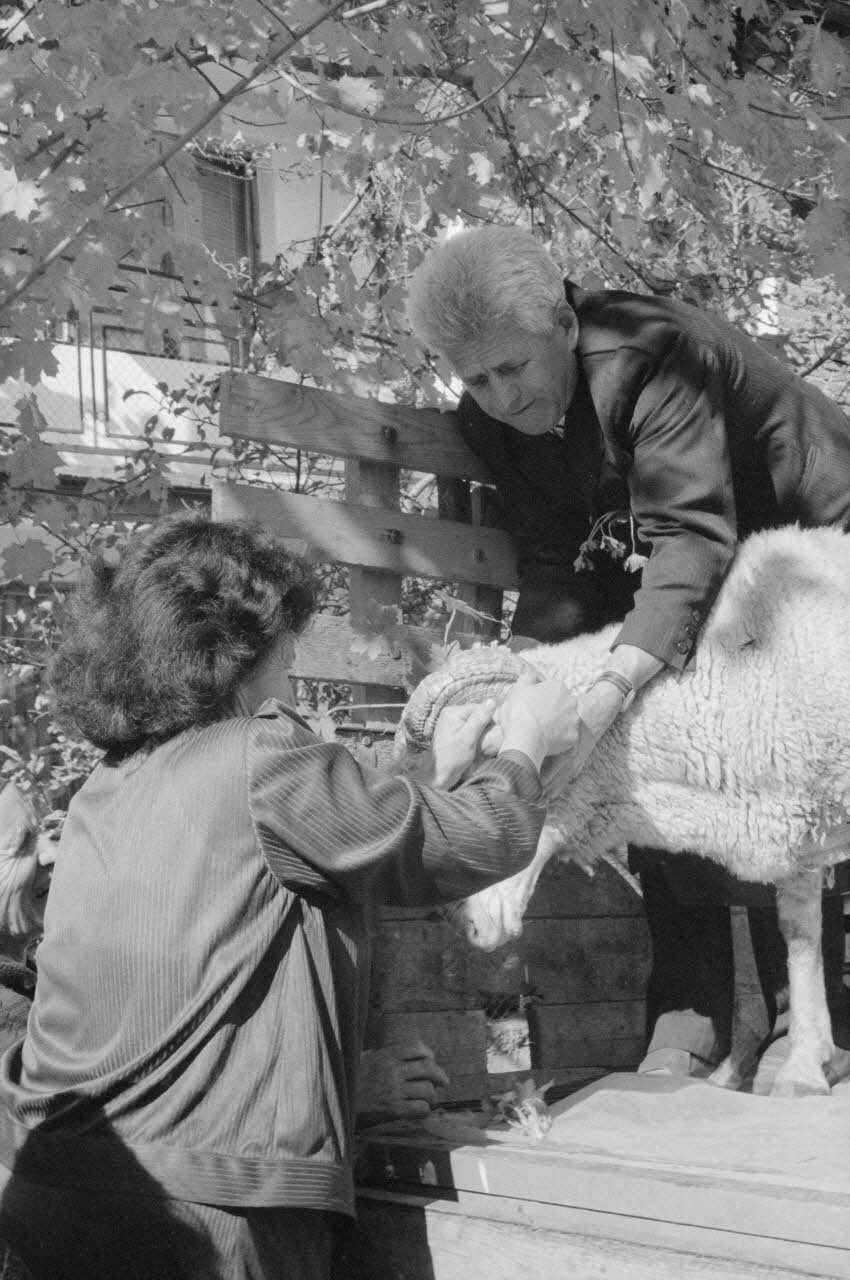 Jean Cuisenier photographie Enquête conduite par Jean Cuisenier en Bulgarie (du 16 au 30 octobre 1990) Province de Blagoevgrad, Bulgarie 1990/10/16 Ph.1990.45.2 Photo
