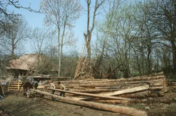 Jean Cuisenier photographie MNATP. Enquête conduite par Jean Cuisenier en Roumanie (avril 1991) Marmatie, Roumanie 1991/4/1 Ph.1991.105.124 Photo