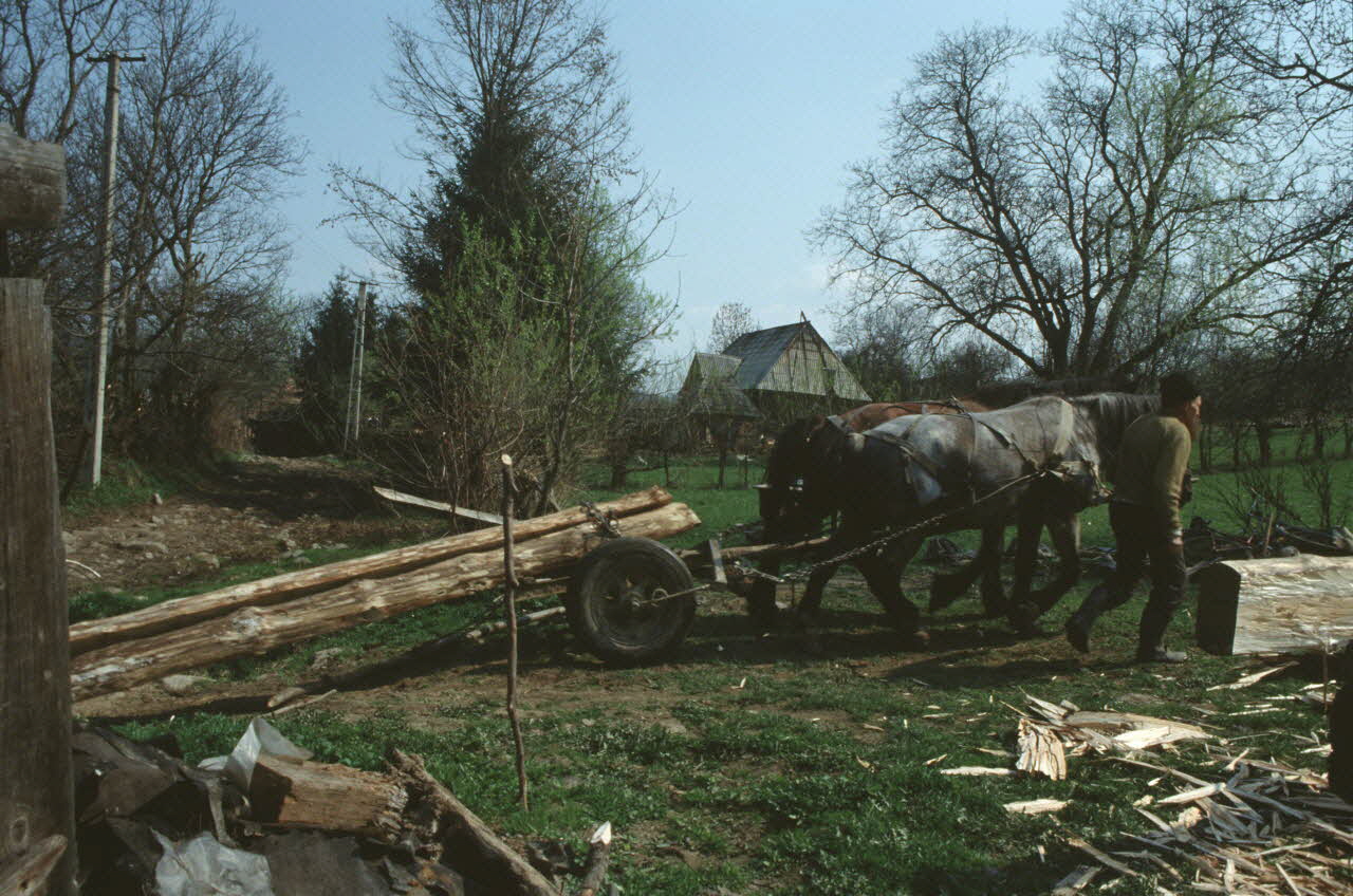 Jean Cuisenier photographie MNATP. Enquête conduite par Jean Cuisenier en Roumanie (avril 1991) Marmatie, Roumanie 1991/4/1 Ph.1991.105.133  Photo
