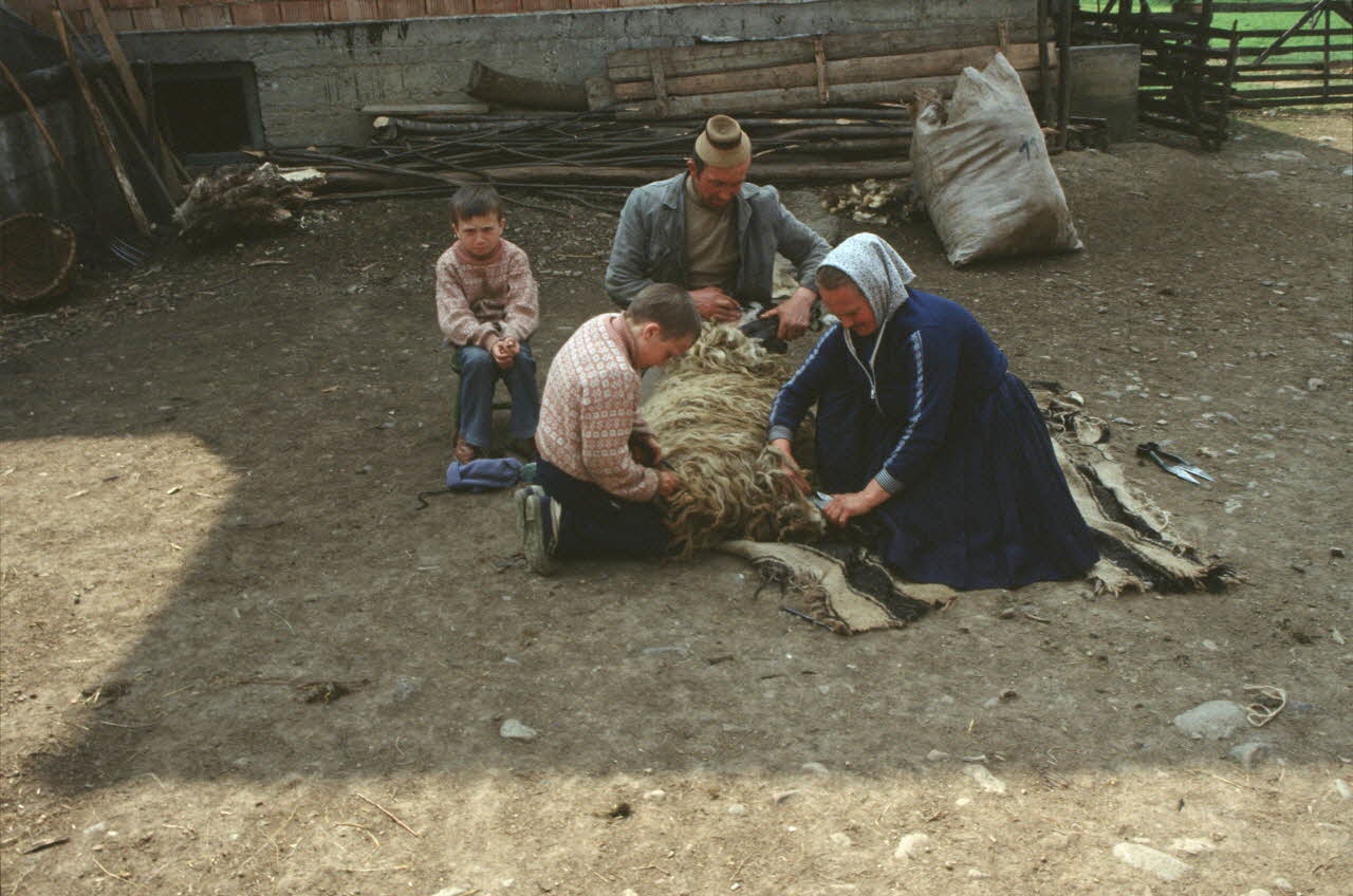 Jean Cuisenier photographie MNATP. Enquête conduite par Jean Cuisenier en Roumanie (avril 1991) Marmatie, Roumanie 1991/4/1 Ph.1991.105.184 Photo