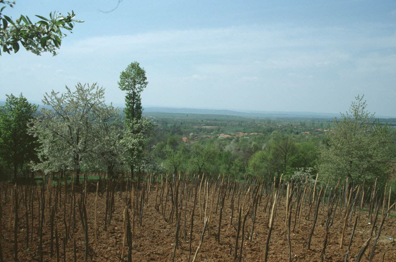 Jean Cuisenier photographie MNATP. Enquête conduite par Jean Cuisenier en Roumanie (avril 1991) Olténie, Roumanie 1991/4/1 Ph.1991.105.39 Photo