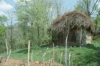 Jean Cuisenier photographie MNATP. Enquête conduite par Jean Cuisenier en Roumanie (avril 1991) Olténie, Roumanie 1991/4/1 Ph.1991.105.40  Photo