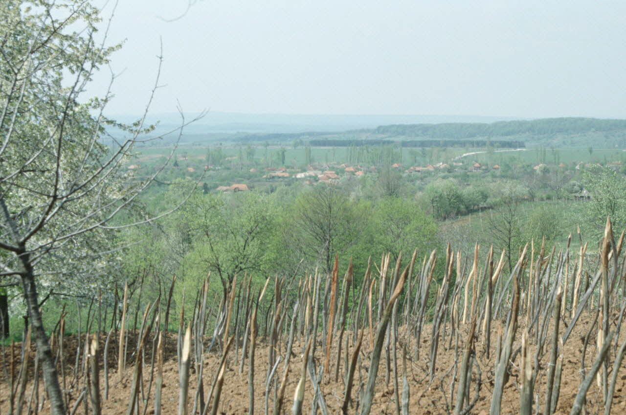 Jean Cuisenier photographie MNATP. Enquête conduite par Jean Cuisenier en Roumanie (avril 1991) Olténie, Roumanie 1991/4/1 Ph.1991.105.43 Photo