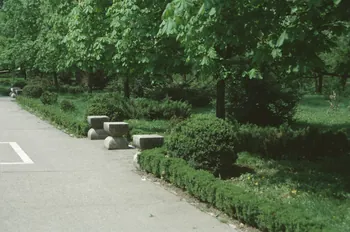 photographie Enquête conduite par Jean Cuisenier en Roumanie (avril 1991) Ph.1991.147.7 Photo