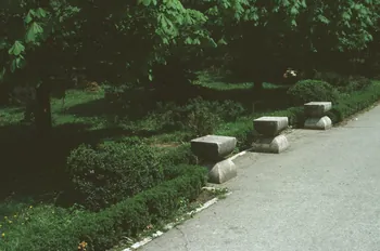 photographie Enquête conduite par Jean Cuisenier en Roumanie (avril 1991) Ph.1991.147.8 Photo