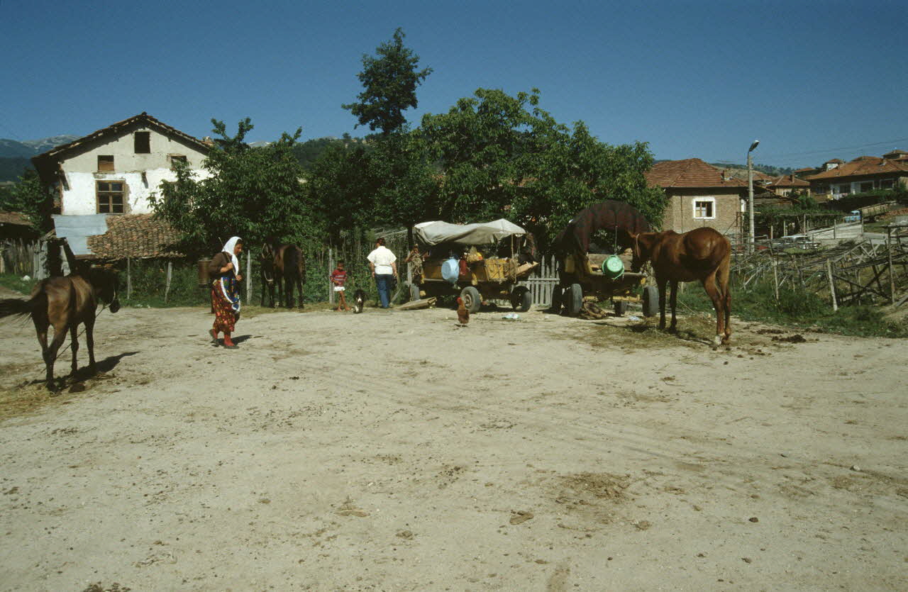 Hervé Jézéquel photographie Savigny-le-Temple :  Exposition. jougs, contre-jougs (novembre 1993 - mars 1994) Auvergne, France 1994 Ph.1994.79.93  Photo