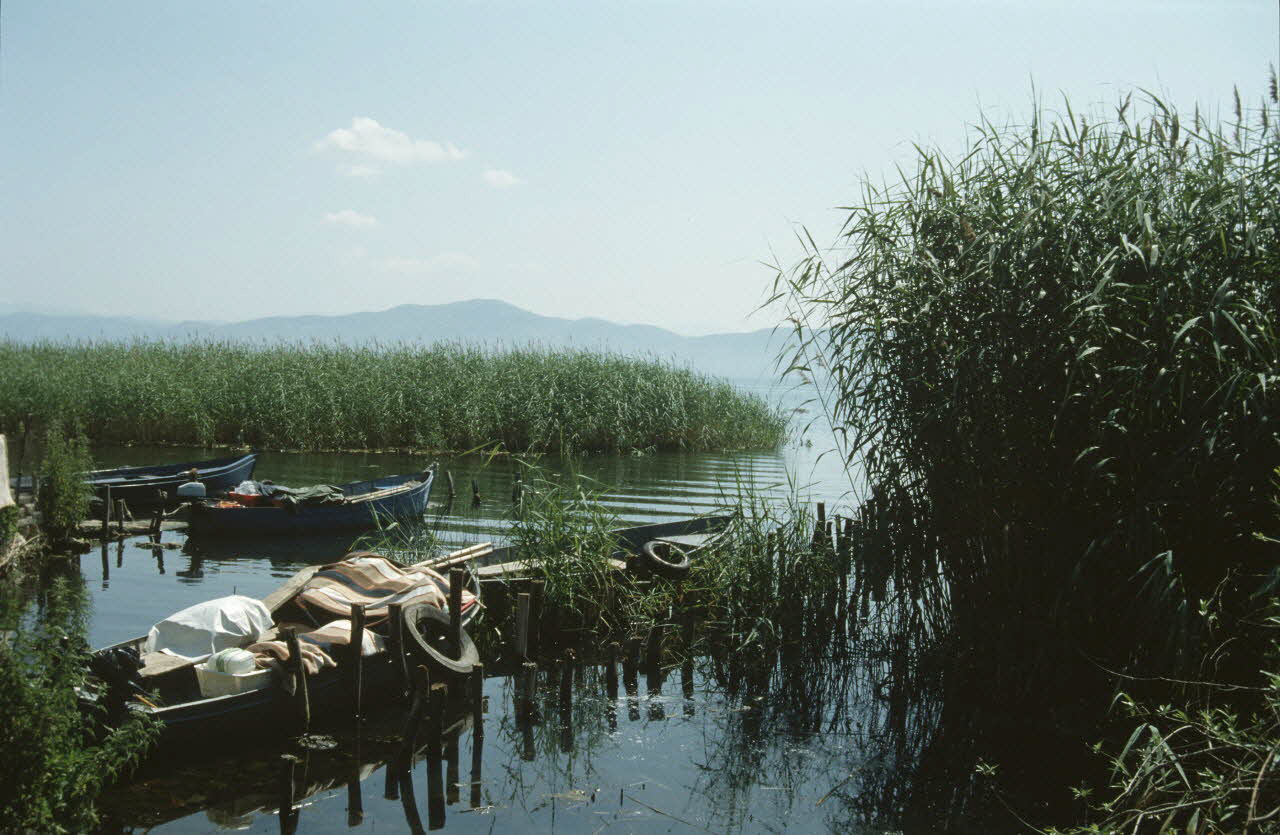 Hervé Jézéquel photographie Enquête conduite par Jean Cuisenier en Macédoine Ile-de-France, France 1994/7/21 Ph.1994.83.23 Photo