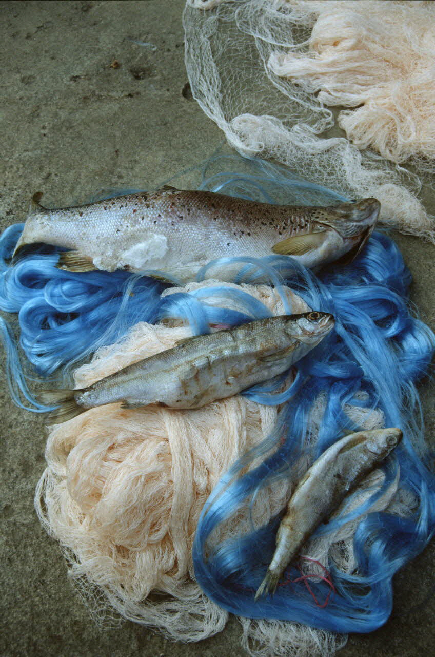 Hervé Jézéquel photographie Enquête conduite par Jean Cuisenier en Macédoine Ancienne République yougoslave de Macédoine 1994 Ph.1994.81.14 Photo