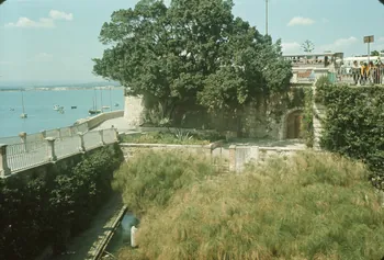 Jean Cuisenier photographie Enquête conduite par Jean Cuisenier en Sicile Sicile, Italie 1970/1/1 Ph.1996.86.83 Photo