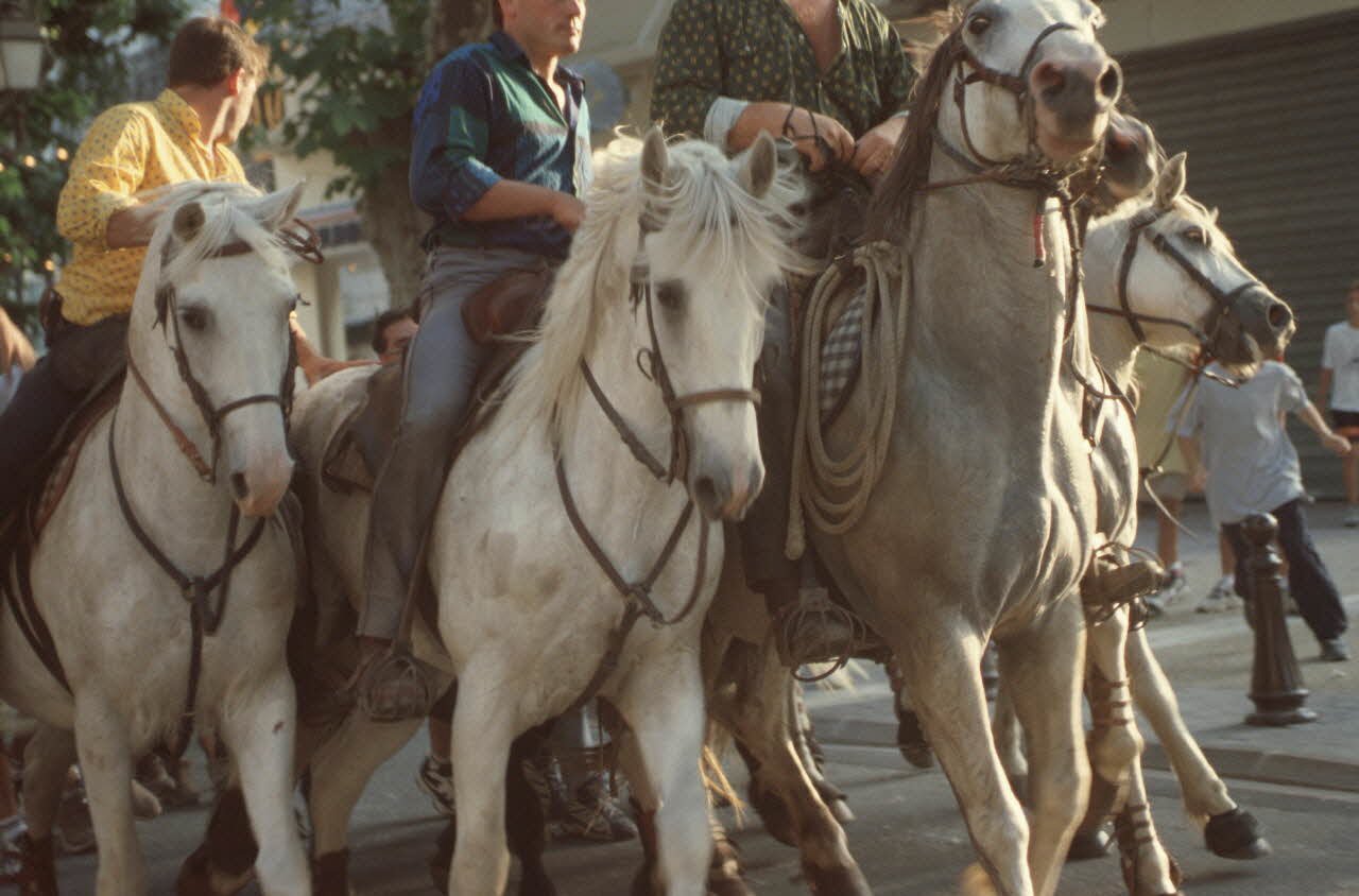 Hervé Jézéquel photographie MNATP. Enquête conduite par Marie-France Gueusquin en Provence (1992-2000) Provence-Alpes-Côte d'Azur, France 1999 Ph.1999.62.181 Photo