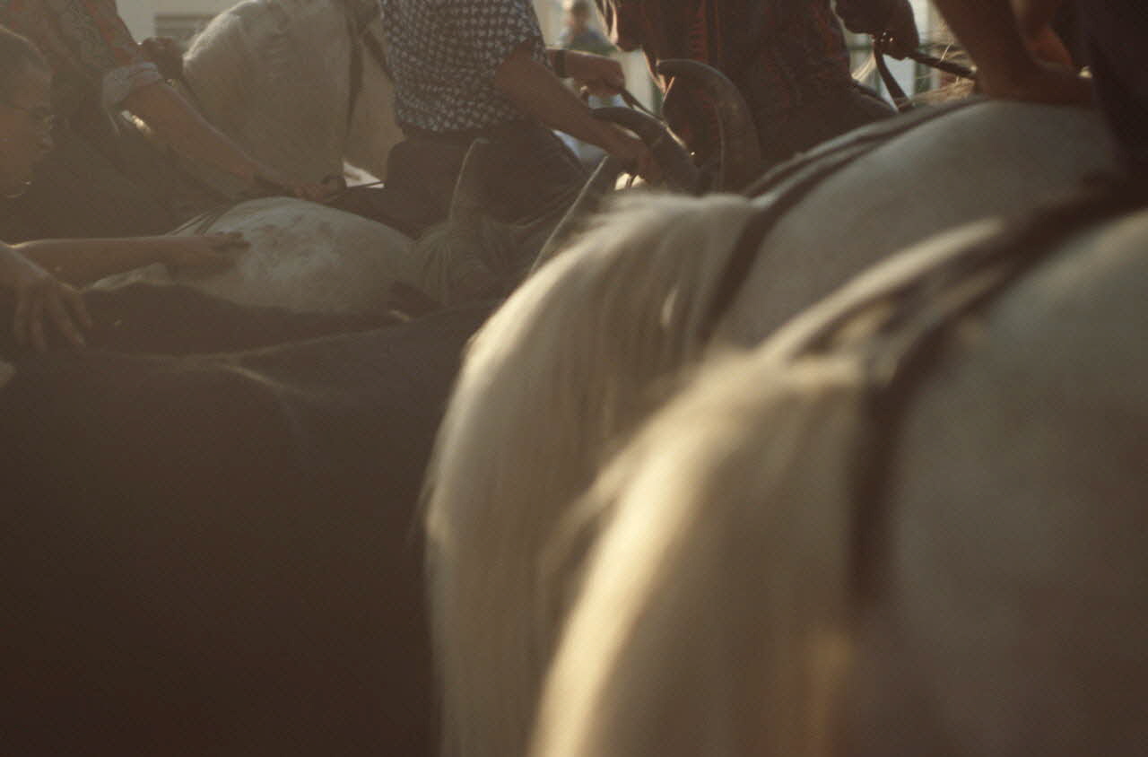 Hervé Jézéquel photographie MNATP. Enquête conduite par Marie-France Gueusquin en Provence (1992-2000) Provence-Alpes-Côte d'Azur, France 1999 Ph.1999.62.183 Photo