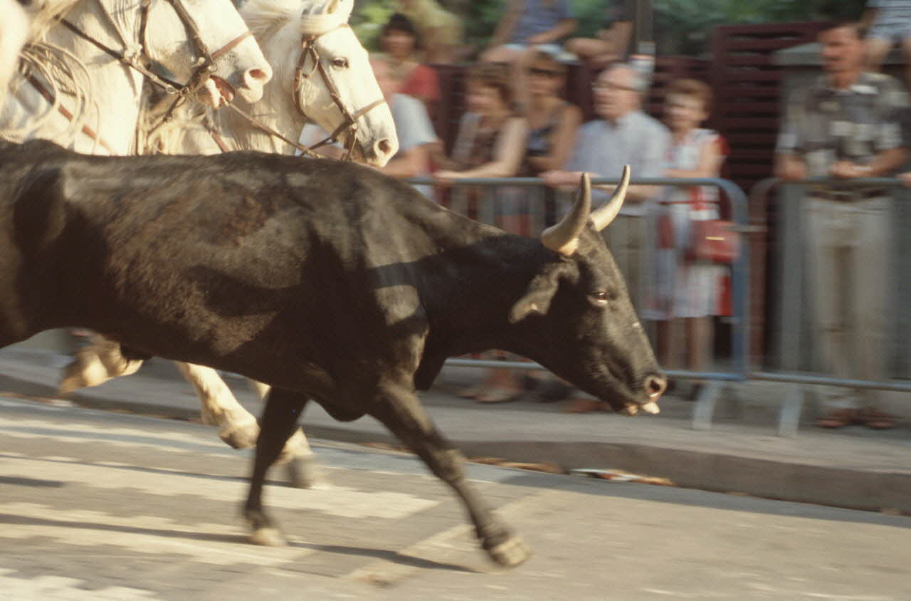 Hervé Jézéquel photographie MNATP. Enquête conduite par Marie-France Gueusquin en Provence (1992-2000) Provence-Alpes-Côte d'Azur, France 1999 Ph.1999.62.184 Photo