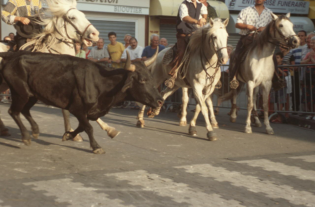 Hervé Jézéquel photographie MNATP. Enquête conduite par Marie-France Gueusquin en Provence (1992-2000) Provence-Alpes-Côte d'Azur, France 1999 Ph.1999.62.185 Photo