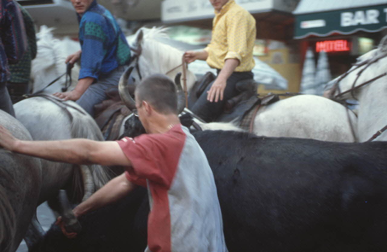 Hervé Jézéquel photographie MNATP. Enquête conduite par Marie-France Gueusquin en Provence (1992-2000) Provence-Alpes-Côte d'Azur, France 1999 Ph.1999.62.188 Photo