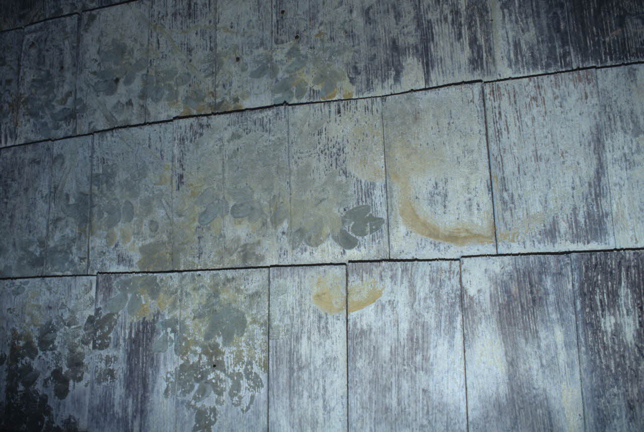 Joffrey Pleignet photographie Ile de la Cagouillère sur le Clain. Démontage d'une cabane de pêche acquise par le MNATP Poitou-Charentes, France 1999/10/10 Ph.1999.66.176 Photo