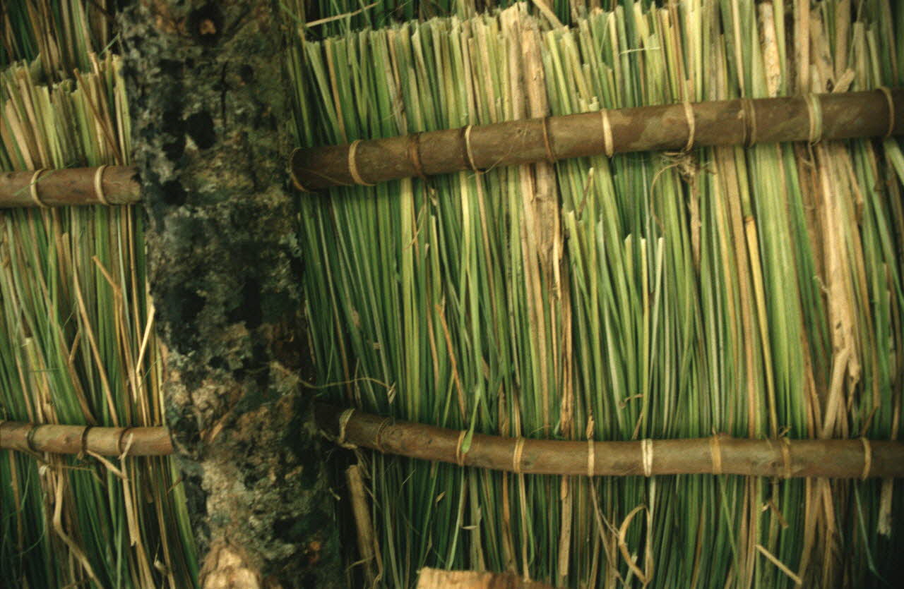 Arnauld Martin photographie Enquête conduite par Arnauld Martin sur l'Ile de La Réunion (Juillet-Août 1998) La Réunion, France 1998/8/13 Ph.2000.15.718 Photo Mucem / Arnaud Martin