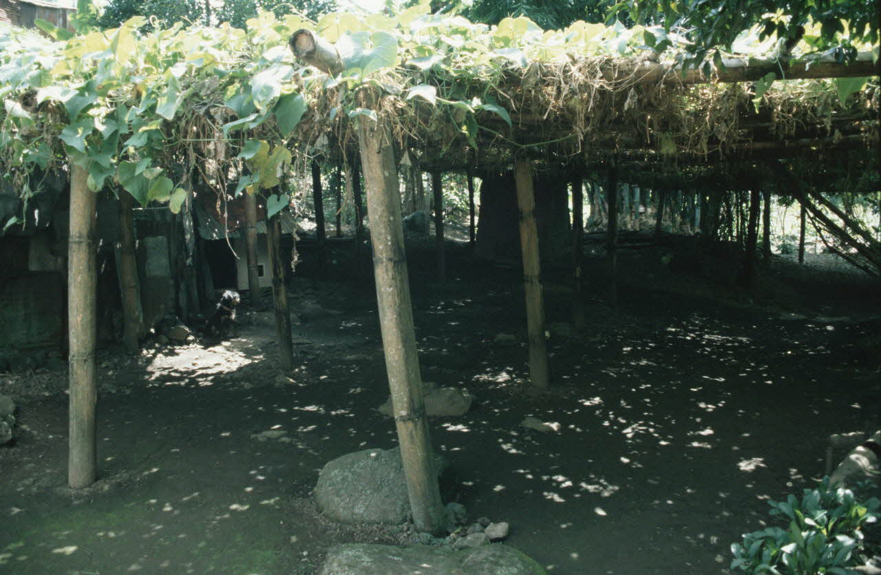 Arnauld Martin photographie Enquête conduite par Arnauld Martin sur l'Ile de La Réunion (Juillet-Août 1998) La Réunion, France 1998/8/13 Ph.2000.15.721 Photo Mucem / Arnaud Martin