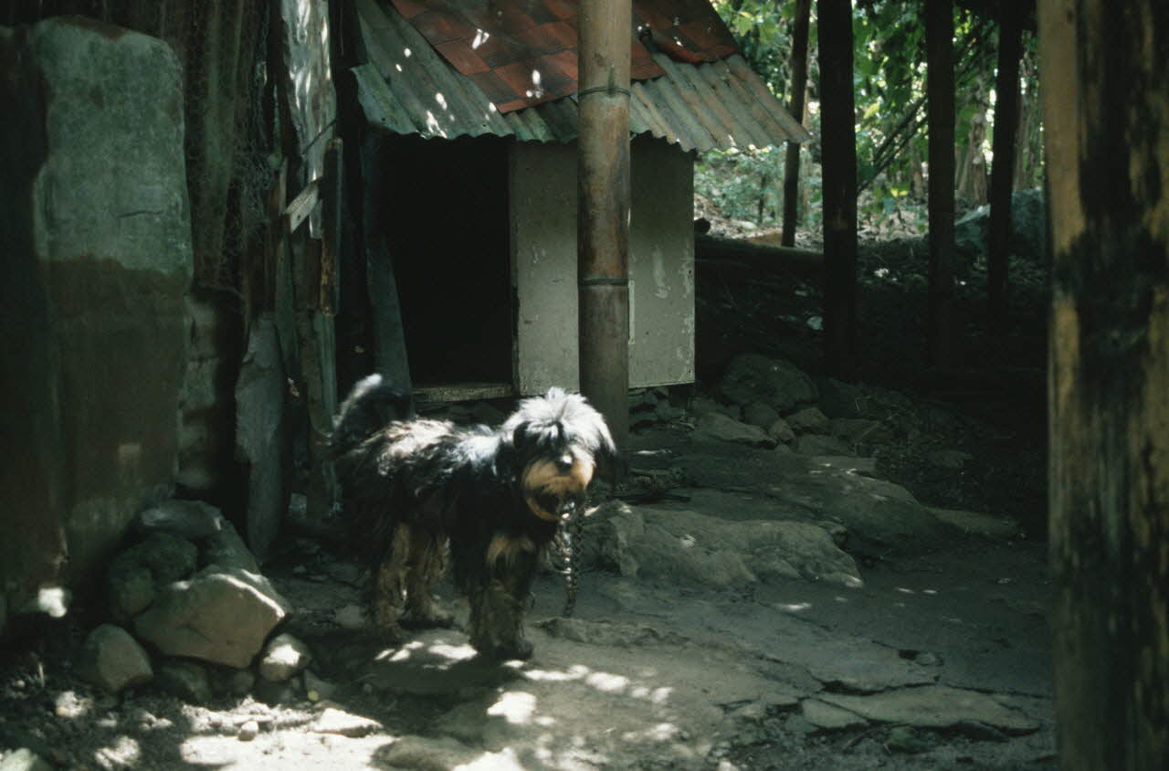 Arnauld Martin photographie Enquête conduite par Arnauld Martin sur l'Ile de La Réunion (Juillet-Août 1998) La Réunion, France 1998/8/13 Ph.2000.15.722 Photo Mucem / Arnaud Martin