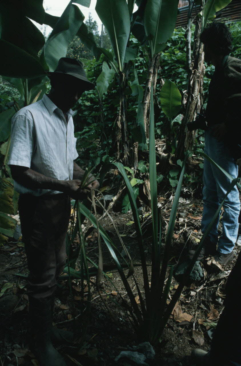 Arnauld Martin photographie Enquête conduite par Arnauld Martin sur l'Ile de La Réunion (Juillet-Août 1998) La Réunion, France 1998/8/13 Ph.2000.15.728 Photo Mucem / Arnaud Martin