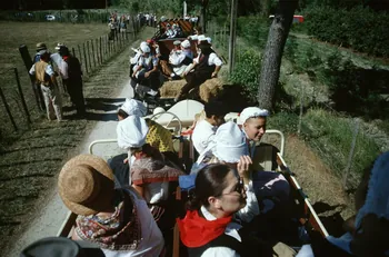 Hervé Jézéquel photographie MNATP. Enquête conduite par Marie-France Gueusquin en Provence (1992-2000) Provence-Alpes-Côte d'Azur, France 2000/6/23-2000/9/1 Ph.2000.29.70 Photo
