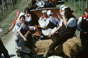 Hervé Jézéquel photographie MNATP. Enquête conduite par Marie-France Gueusquin en Provence (1992-2000) Provence-Alpes-Côte d'Azur, France 2000/6/23-2000/9/2 Ph.2000.29.71 Photo