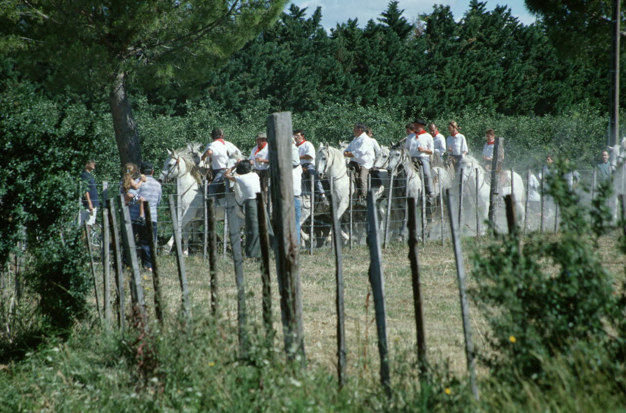 Hervé Jézéquel photographie MNATP. Enquête conduite par Marie-France Gueusquin en Provence (1992-2000) Provence-Alpes-Côte d'Azur, France 2000/6/23-2000/9/8 Ph.2000.29.77 Photo