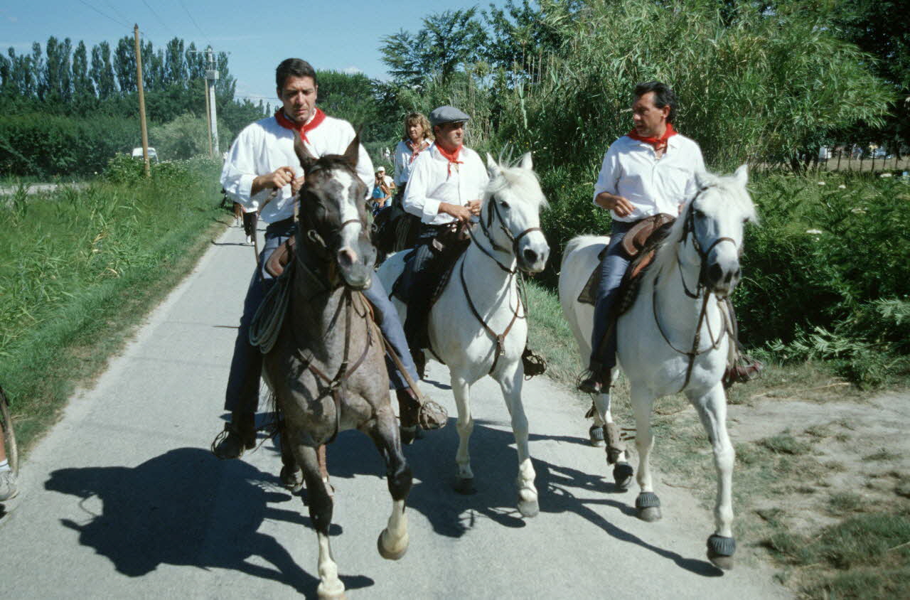 Hervé Jézéquel photographie MNATP. Enquête conduite par Marie-France Gueusquin en Provence (1992-2000) Provence-Alpes-Côte d'Azur, France 2000/6/23-2000/9/9 Ph.2000.29.78 Photo