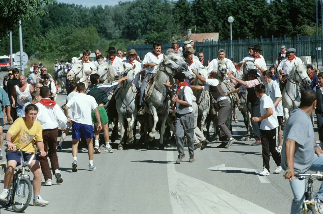 Hervé Jézéquel photographie MNATP. Enquête conduite par Marie-France Gueusquin en Provence (1992-2000) Provence-Alpes-Côte d'Azur, France 2000/6/23-2000/9/13 Ph.2000.29.82 Photo