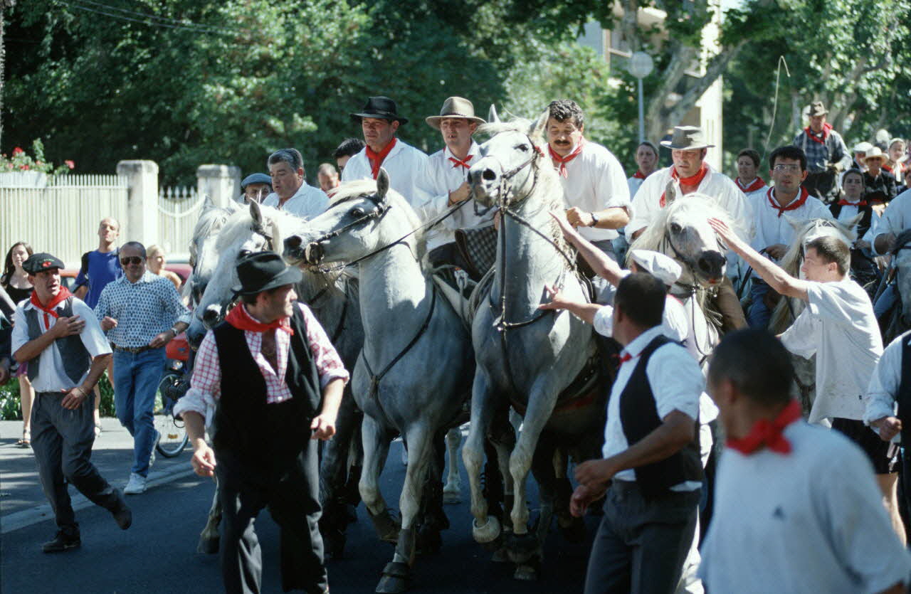 Hervé Jézéquel photographie MNATP. Enquête conduite par Marie-France Gueusquin en Provence (1992-2000) Provence-Alpes-Côte d'Azur, France 2000/6/23-2000/9/14 Ph.2000.29.83 Photo