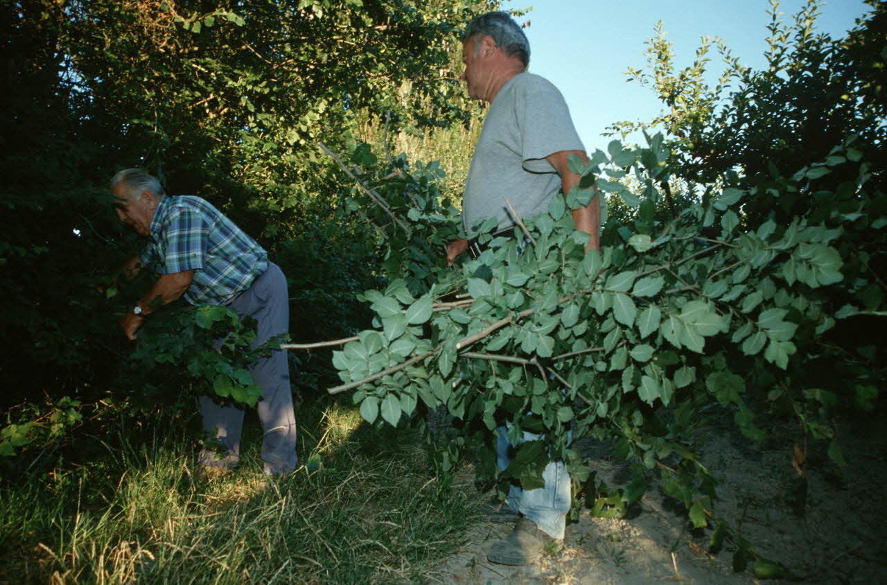 Hervé Jézéquel photographie MNATP. Enquête conduite par Marie-France Gueusquin en Provence (1992-2000) Provence-Alpes-Côte d'Azur, France 2000/7/1 Ph.2000.34.10 Photo