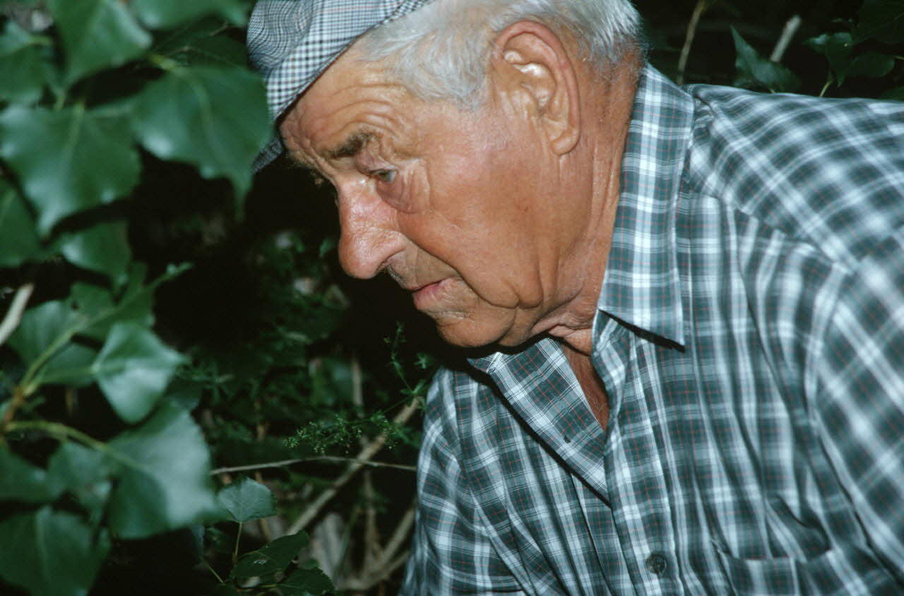Hervé Jézéquel photographie MNATP. Enquête conduite par Marie-France Gueusquin en Provence (1992-2000) Provence-Alpes-Côte d'Azur, France 2000/7/1 Ph.2000.34.11 Photo