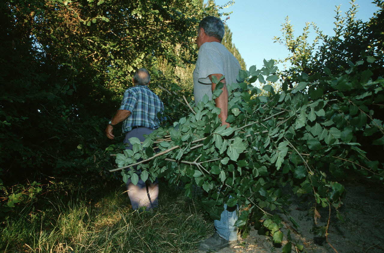 Hervé Jézéquel photographie MNATP. Enquête conduite par Marie-France Gueusquin en Provence (1992-2000) Provence-Alpes-Côte d'Azur, France 2000/7/1 Ph.2000.34.12 Photo