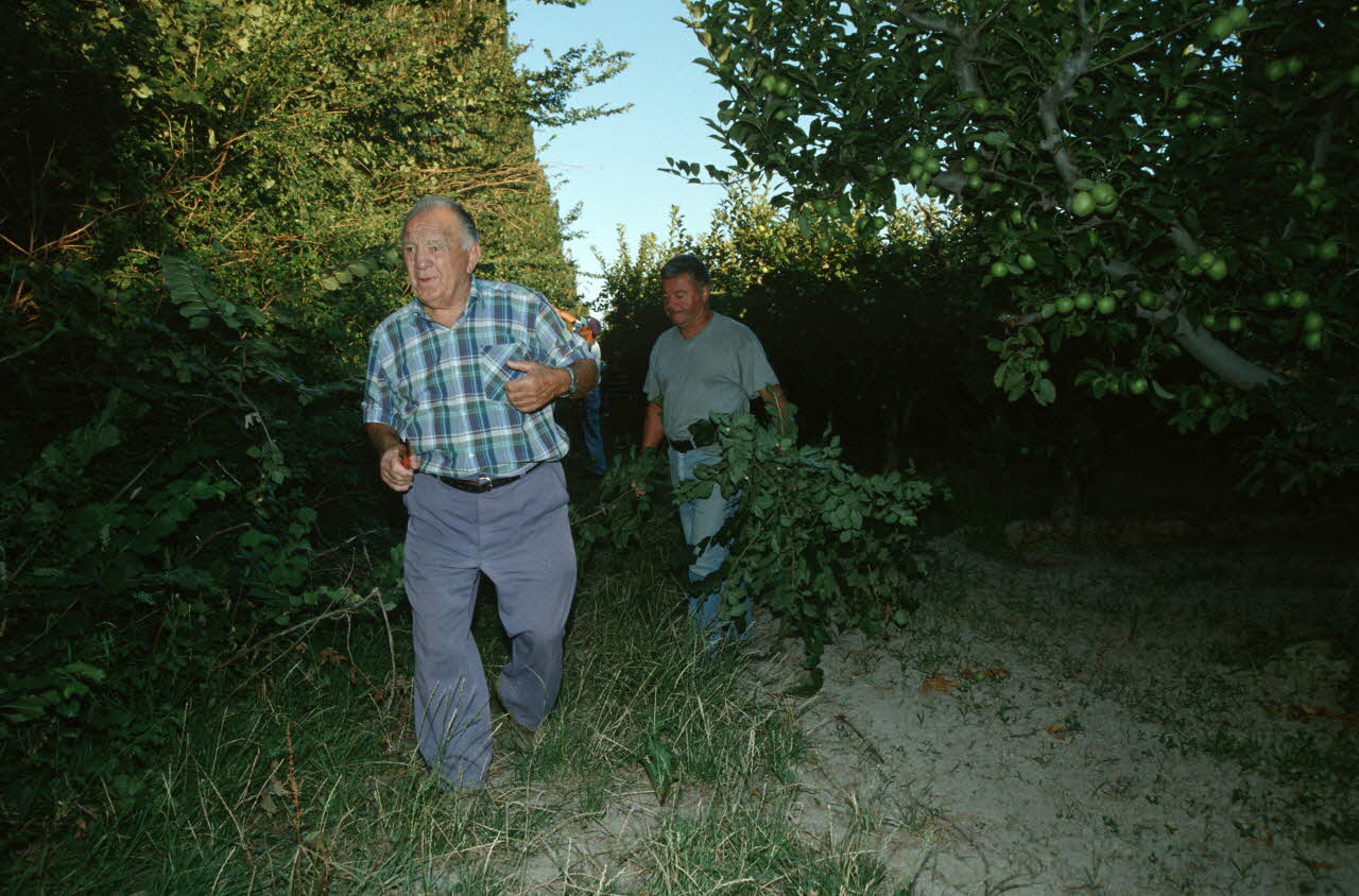 Hervé Jézéquel photographie MNATP. Enquête conduite par Marie-France Gueusquin en Provence (1992-2000) Provence-Alpes-Côte d'Azur, France 2000/7/1 Ph.2000.34.13 Photo