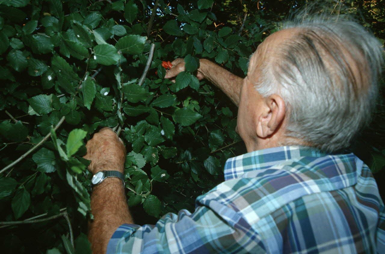 Hervé Jézéquel photographie MNATP. Enquête conduite par Marie-France Gueusquin en Provence (1992-2000) Provence-Alpes-Côte d'Azur, France 2000/7/1 Ph.2000.34.14 Photo