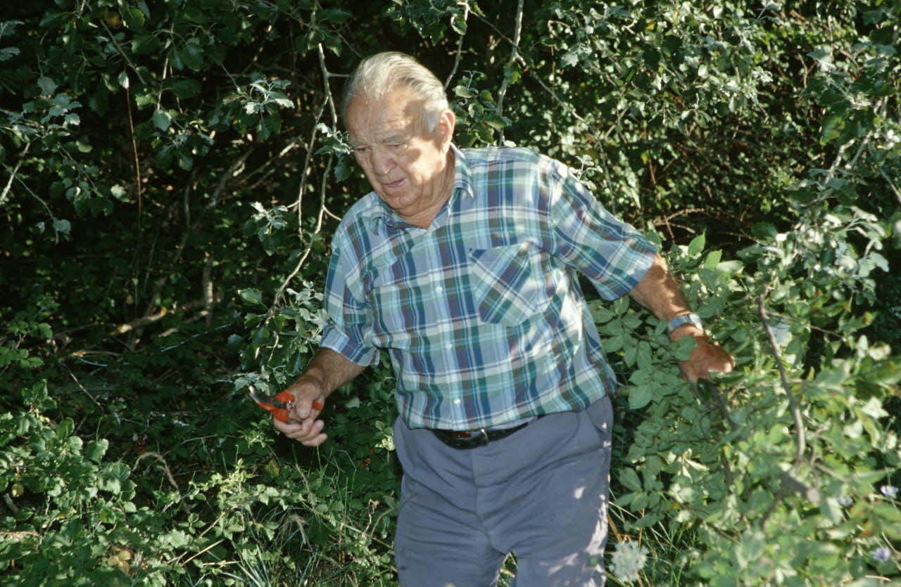 Hervé Jézéquel photographie MNATP. Enquête conduite par Marie-France Gueusquin en Provence (1992-2000) Provence-Alpes-Côte d'Azur, France 2000/7/1 Ph.2000.34.16 Photo