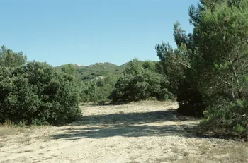Hervé Jézéquel photographie MNATP. Enquête conduite par Marie-France Gueusquin en Provence (1992-2000) Provence-Alpes-Côte d'Azur, France 2000/7/1 Ph.2000.34.198 Photo