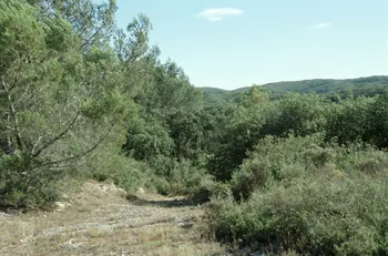 Hervé Jézéquel photographie MNATP. Enquête conduite par Marie-France Gueusquin en Provence (1992-2000) Provence-Alpes-Côte d'Azur, France 2000/7/1 Ph.2000.34.199 Photo