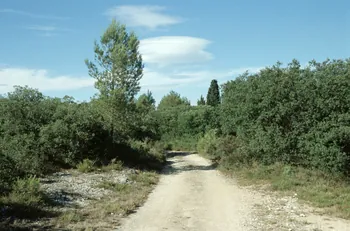 Hervé Jézéquel photographie MNATP. Enquête conduite par Marie-France Gueusquin en Provence (1992-2000) Provence-Alpes-Côte d'Azur, France 2000/7/1 Ph.2000.34.200 Photo