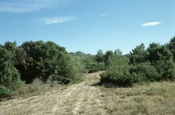 Hervé Jézéquel photographie MNATP. Enquête conduite par Marie-France Gueusquin en Provence (1992-2000) Provence-Alpes-Côte d'Azur, France 2000/7/1 Ph.2000.34.201 Photo
