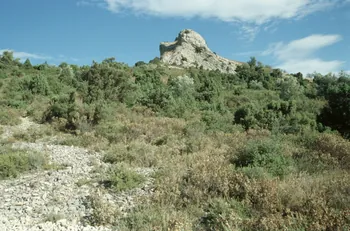 Hervé Jézéquel photographie MNATP. Enquête conduite par Marie-France Gueusquin en Provence (1992-2000) Provence-Alpes-Côte d'Azur, France 2000/7/1 Ph.2000.34.206 Photo