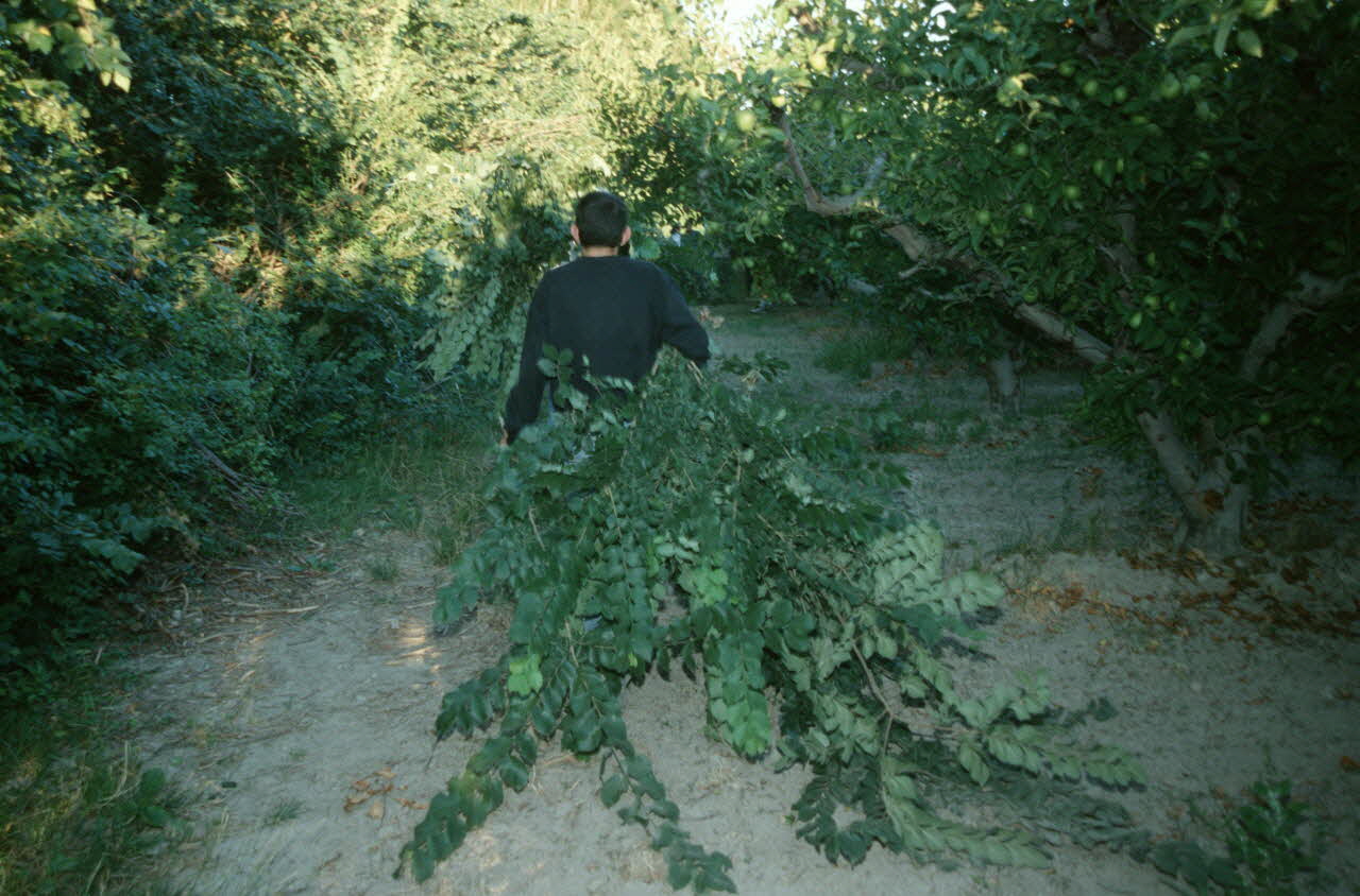 Hervé Jézéquel photographie MNATP. Enquête conduite par Marie-France Gueusquin en Provence (1992-2000) Provence-Alpes-Côte d'Azur, France 2000/7/1 Ph.2000.34.4 Photo