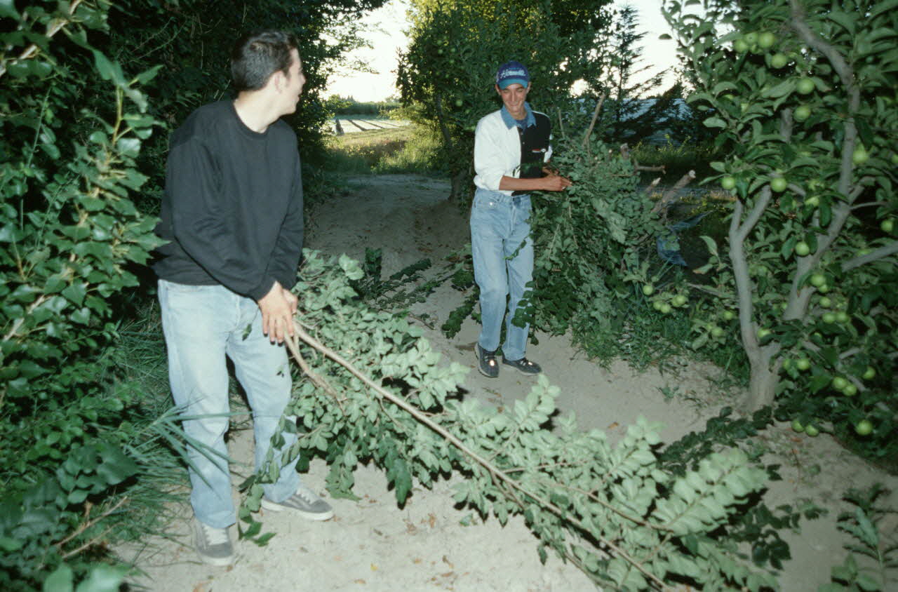 Hervé Jézéquel photographie MNATP. Enquête conduite par Marie-France Gueusquin en Provence (1992-2000) Provence-Alpes-Côte d'Azur, France 2000/7/1 Ph.2000.34.6 Photo