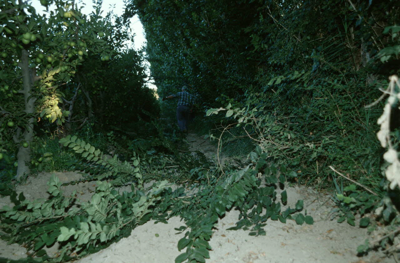 Hervé Jézéquel photographie MNATP. Enquête conduite par Marie-France Gueusquin en Provence (1992-2000) Provence-Alpes-Côte d'Azur, France 2000/7/1 Ph.2000.34.7 Photo