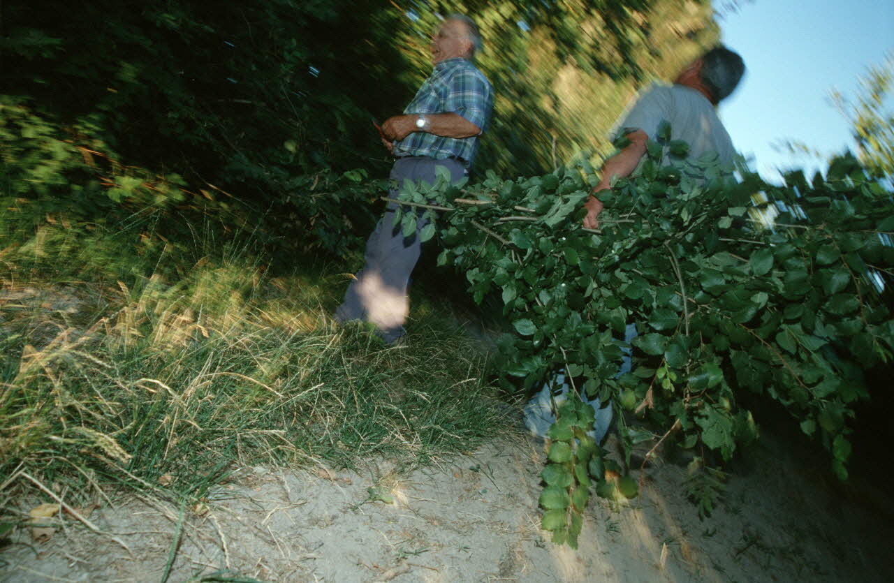 Hervé Jézéquel photographie MNATP. Enquête conduite par Marie-France Gueusquin en Provence (1992-2000) Provence-Alpes-Côte d'Azur, France 2000/7/1 Ph.2000.34.9 Photo