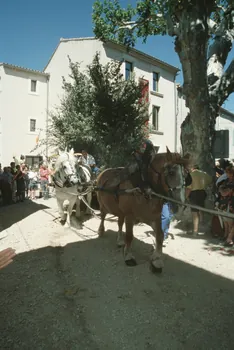 Hervé Jézéquel photographie MNATP. Enquête conduite par Marie-France Gueusquin en Provence (1992-2000) Provence-Alpes-Côte d'Azur, France 2000/7/1 Ph.2000.39.109 Photo