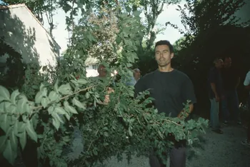 Hervé Jézéquel photographie MNATP. Enquête conduite par Marie-France Gueusquin en Provence (1992-2000) Provence-Alpes-Côte d'Azur, France 2000/7/1 Ph.2000.39.132 Photo