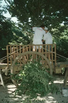 Hervé Jézéquel photographie MNATP. Enquête conduite par Marie-France Gueusquin en Provence (1992-2000) Provence-Alpes-Côte d'Azur, France 2000/7/1 Ph.2000.39.133 Photo