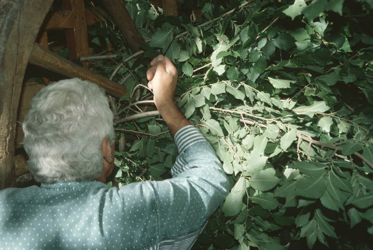 Hervé Jézéquel photographie MNATP. Enquête conduite par Marie-France Gueusquin en Provence (1992-2000) Provence-Alpes-Côte d'Azur, France 2000/7/1 Ph.2000.39.139  Photo
